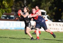 Magpies take the upper hand
