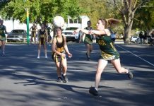 Mozzies too strong for Hawks