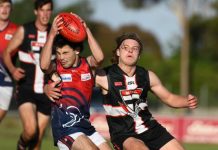 A hurdle too high for Roos