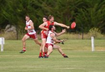 Rooster shake off determined Tigers