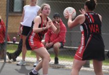 Tigers host match of the round