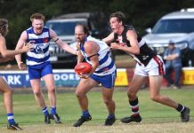 Cats face ladder-leading Saints