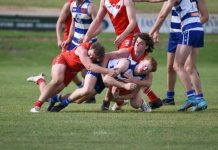 Cats succumb to Demons