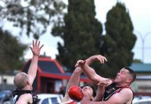 Saints claim Indigenous honours