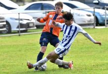 Memorial shield returns to the den