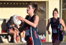 Battle of the giants