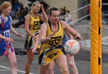 Tigers pounce on improved Cats