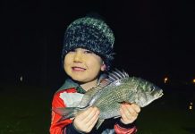 Flurry of activity as tuna show up