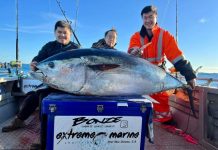 Plenty of action at Port Macdonnell