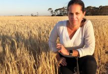 Margin control critical for volatile global commodities