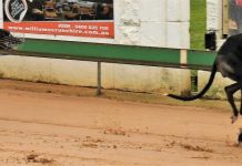 Racing highlighted by first round of Memorial