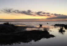 Region has a say on Coastal Lakes