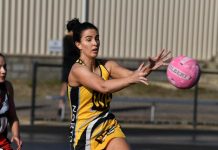 Feline foes meet in Round 5