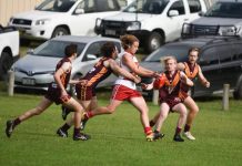 Roosters up for the challenge