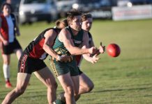 Mozzies record stinging victory