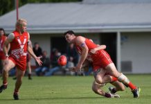 Tigers hold on into stiff breeze