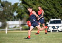 Demons back on track