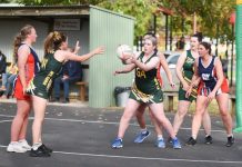 Mozzies hold on in tough contest