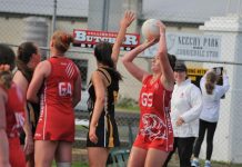 Tigers too strong on windy day