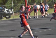 Demons hold on in nail-biter