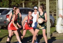 Mozzies lift to claim strong win