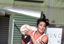 Roosters too strong at home