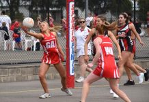 Souths host undefeated Millicent