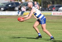 Cats sink claws into struggling Bulldogs