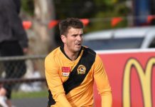 Tigers ready to pounce