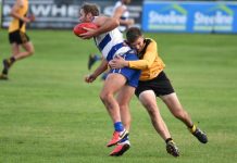 Cross-border roadtrip for Tigers