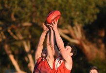 Roos overcome by Demons