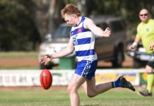 Cat fight won by hosts