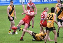 Tigers tamed in rain game