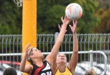 Young Tigers succumb to settled Saints