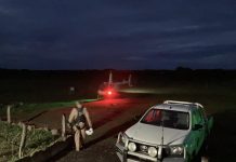 Feral Deer hits big target