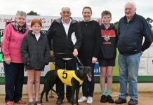 Success continues for local connections