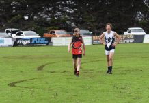 ‘A dog act’ says Hawks president