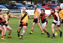 North looks to bounce back