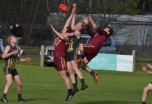 Mozzies hold on in nail-biter