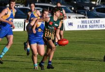 Mozzies slide into top four after impressive win