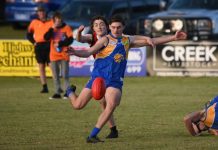 Eagles bounce back in style