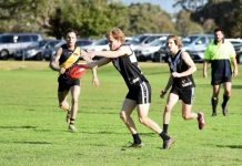 Magpies swoop as Hawks attack