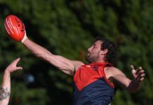 Demons hold on in tight finish
