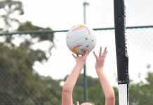 Magpies at their best