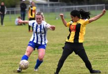 Strong wins across the board