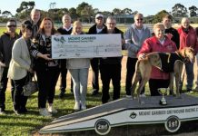 The chase for charity continues at Tara Raceway