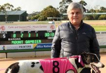 Maiden heat winner impresses at Mount Gambier debut