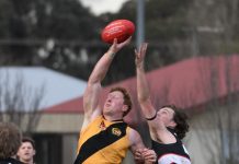 Saints show dominance