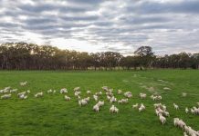 Adaptative agriculture grants open