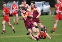 Murphies too strong at home